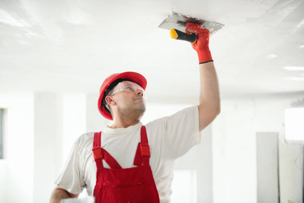 Best Residential Painting  in Vinton, VA